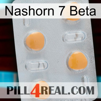 Rhino 7 Beta 24